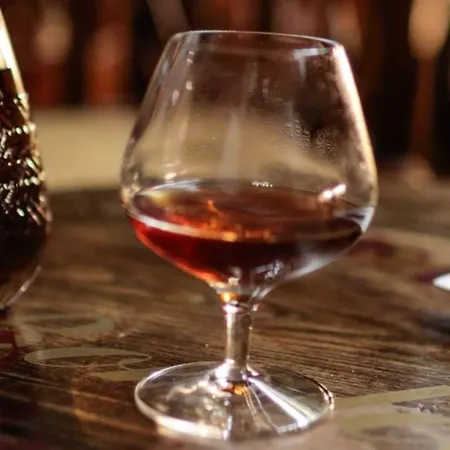 Euroterme 酒店 巴尼奥迪罗马涅